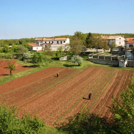 Traditional With Private Pool Peresiji